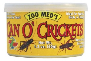 Can O' Cricket - 35 g